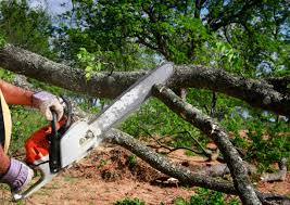 Mulching Services in Holly Springs, GA